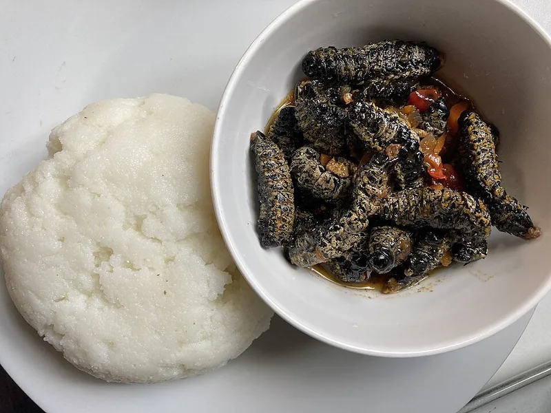 Phane (Mopane Worms), via Wikimedia Commons
