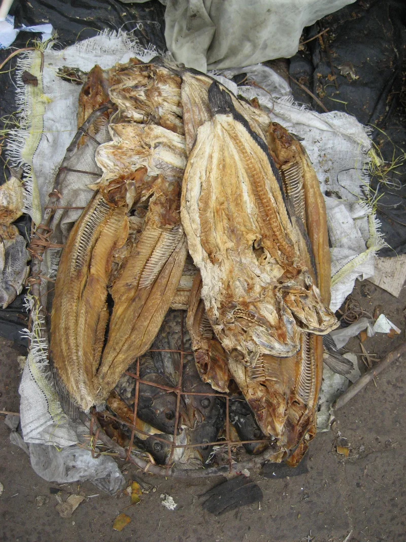 Caldou (Casamance Fish & Lime Broth), via Wikimedia Commons