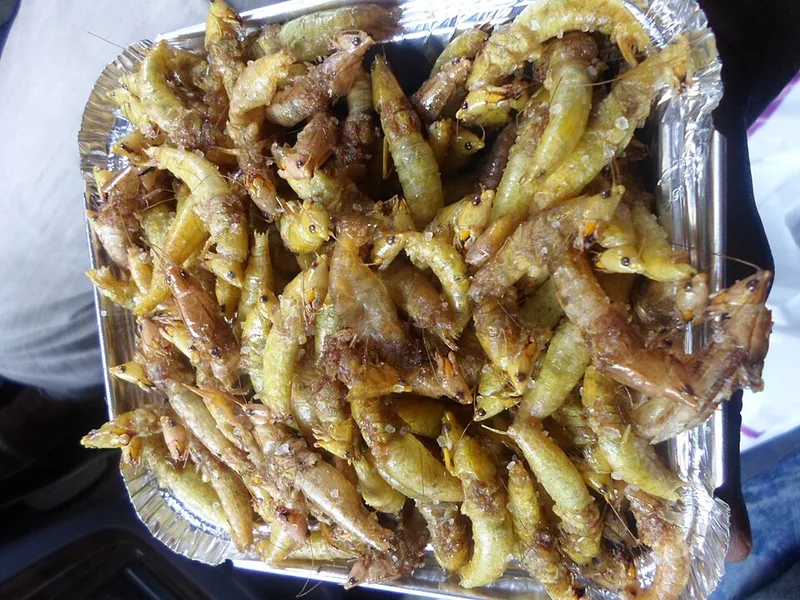Nsenene (Grasshoppers), via Wikimedia Commons