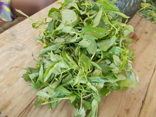 Ademe Dessi (Jute Leaf Sauce), via Wikimedia Commons